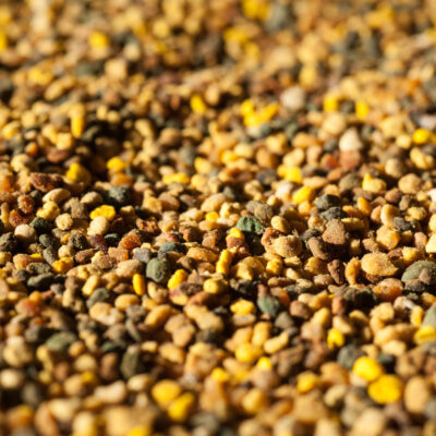 close-up of pollen, grainy texture, bright not uniform color, depth of field of the lens