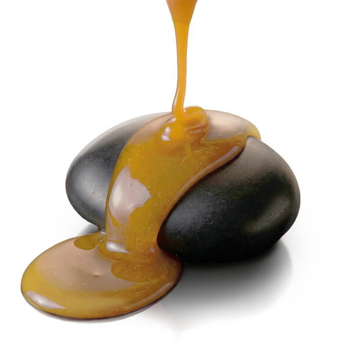 main_5 main_5
